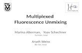 Multiplexed  Fluorescence Unmixing