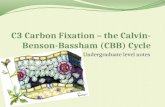 C3 Carbon Fixation – the Calvin-Benson- Bassham  (CBB) Cycle