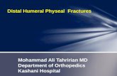 Mohammad Ali  Tahririan  MD Department of Orthopedics Kashani  Hospital