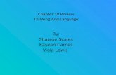 Chapter 10 Review Thinking And Language