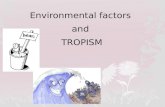 Environmental factors  and  TROPISM