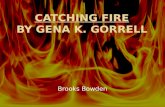 Catching Fire By  gena  k.  gorrell