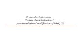 Proteomics Informatics –  Protein characterization I:  post-translational modifications  (Week 10)