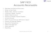 SAP FICO  Accounts Receivable