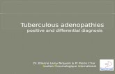 Tuberculous adenopathies positive and  differential diagnosis