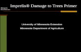 Imprelis ® Damage to Trees Primer
