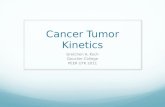 Cancer Tumor Kinetics
