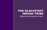 The Blackfoot Indian Tribe