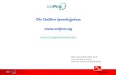 The  UniProt  knowledgebase  a  hub  of integrated  protein data