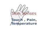 Skin Senses