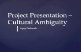 Project Presentation – Cultural Ambiguity