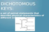 Dichotomous Keys: