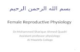 Female  R eproductive Physiology