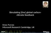 Simulating  [the]  global carbon-climate feedback