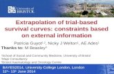 Extrapolation of trial-based survival curves: constraints based on external information