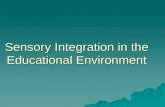 Sensory Integration in the Educational Environment