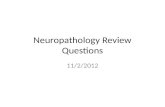 Neuropathology Review Questions