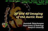 3D and 4D Imaging  of the Aortic Root