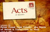 Lesson  16 : Peter Freed from Prison, the Death of Herod & Transition to Paul  (12:1-25)