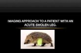 Imaging approach to a patient with an acute  swolen  leg.