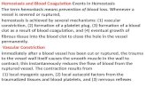 Hemostasis  and Blood Coagulation  Events in  Hemostasis