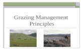 Grazing Management  Principles