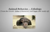 Animal Behavior -- Ethology From the Greek:  Ethos  (character) and  logia  (the study of).