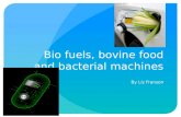 Bio fuels, bovine food and bacterial machines