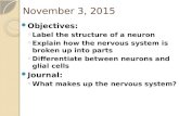 What  are two functions of the nervous system? What makes up the nervous system?