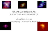 PULSAR WIND NEBULAE: PROBLEMS AND PROSPECTS