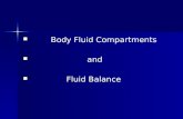 Body Fluid Compartments                       and               Fluid Balance