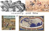 Slavery and New Frontiers