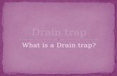Drain trap