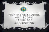 Morpheme studies  and  scond language acquisition