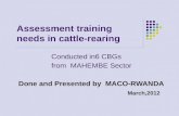 Assessment training needs in cattle-rearing
