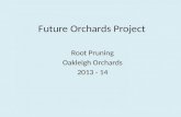 Future  Orchards Project