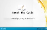 Break  The Cycle Campaign Study & Analysis