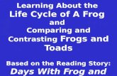 Learning About the  Life Cycle of A Frog  and  Comparing and Contrasting  Frogs  and  Toads