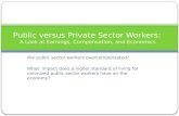 Public versus Private Sector Workers :   A Look at Earnings, Compensation, and Economics