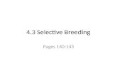 4 .3 Selective Breeding