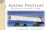 Azalea Festival