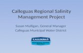 Calleguas Regional Salinity Management Project