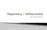 Tapestry  /  Hibernate
