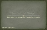 The  Inland Taipan