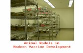 Animal Models in  Modern Vaccine Development