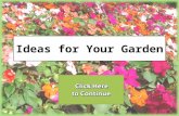 Ideas for Your Garden