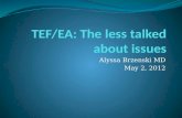 TEF/EA: The less talked about issues
