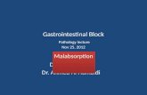 Gastrointestinal Block Pathology lecture Nov 25, 2012
