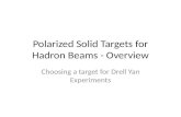 Polarized Solid Targets for  Hadron  Beams - Overview
