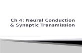 Ch 4: Neural Conduction & Synaptic Transmission